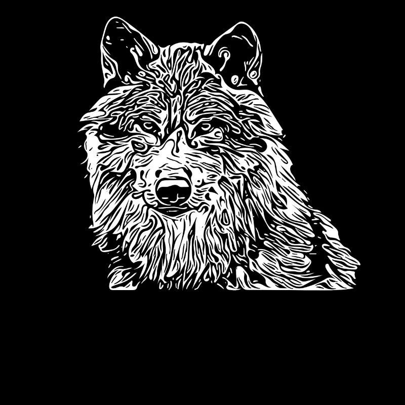 wolf