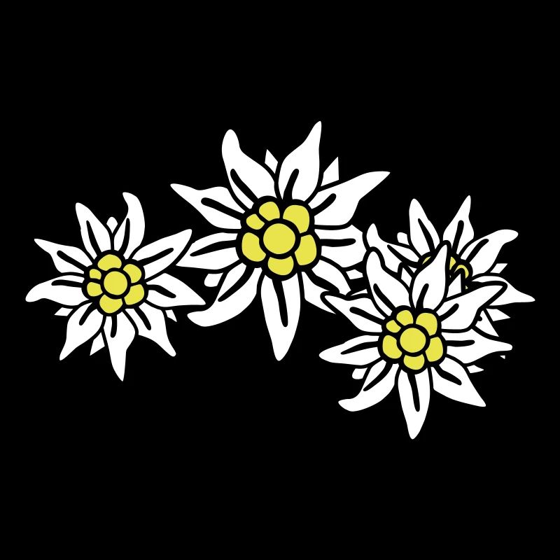 edelweiss