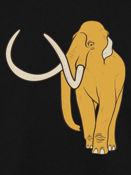 Mammut