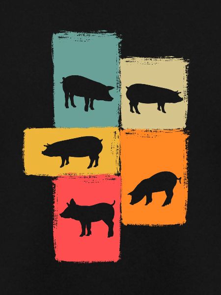 Pig