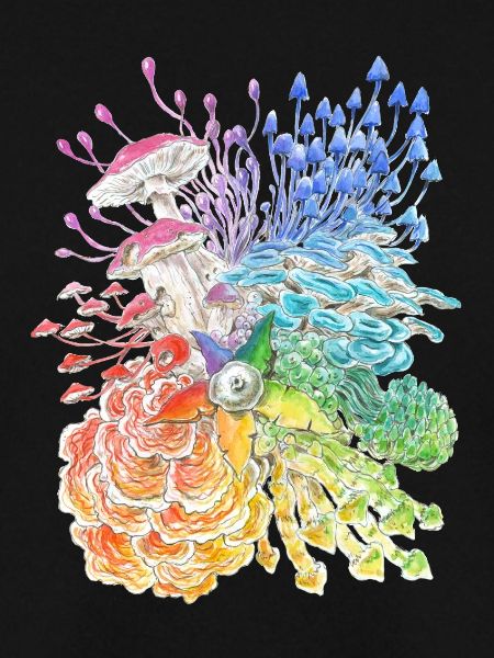 Rainbow Mushrooms / diversity