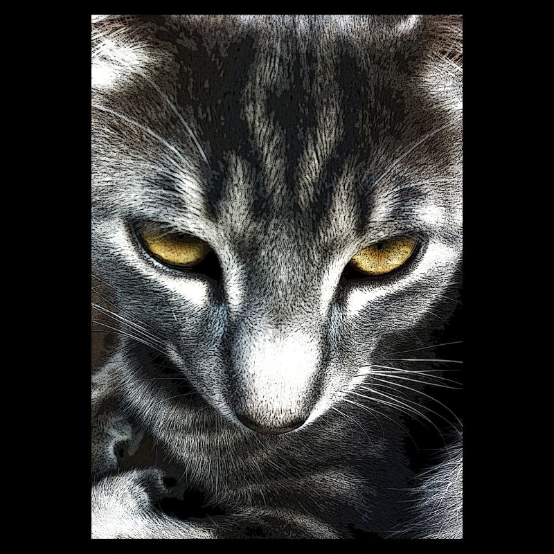 Chat