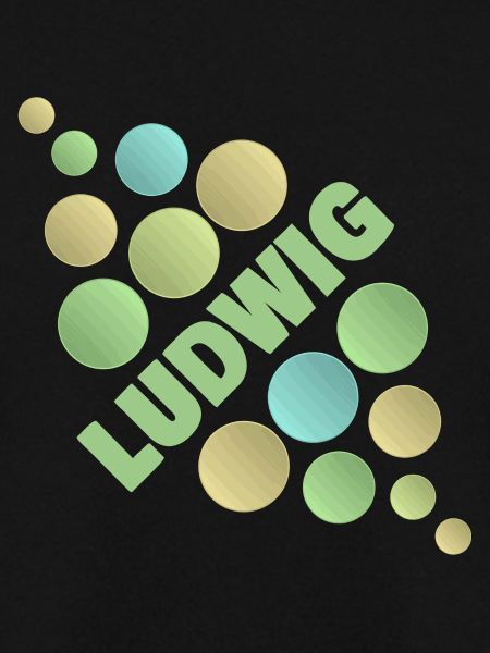 Vorname Ludwig