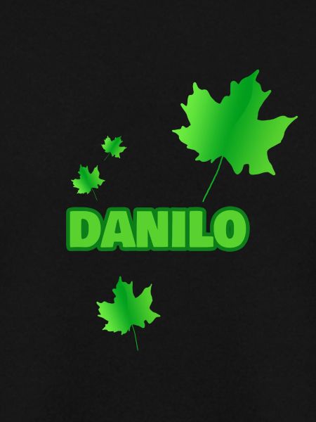 Danilo as Fortwirt