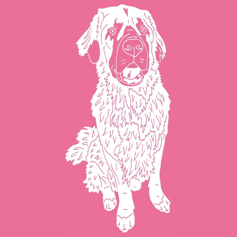 Leonberger Mix