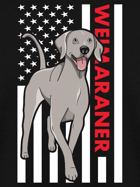 Weimaraner Us Flag