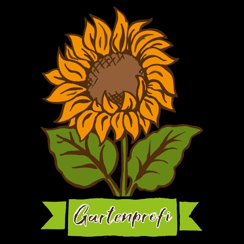 Sonnenblume Gartenprofi