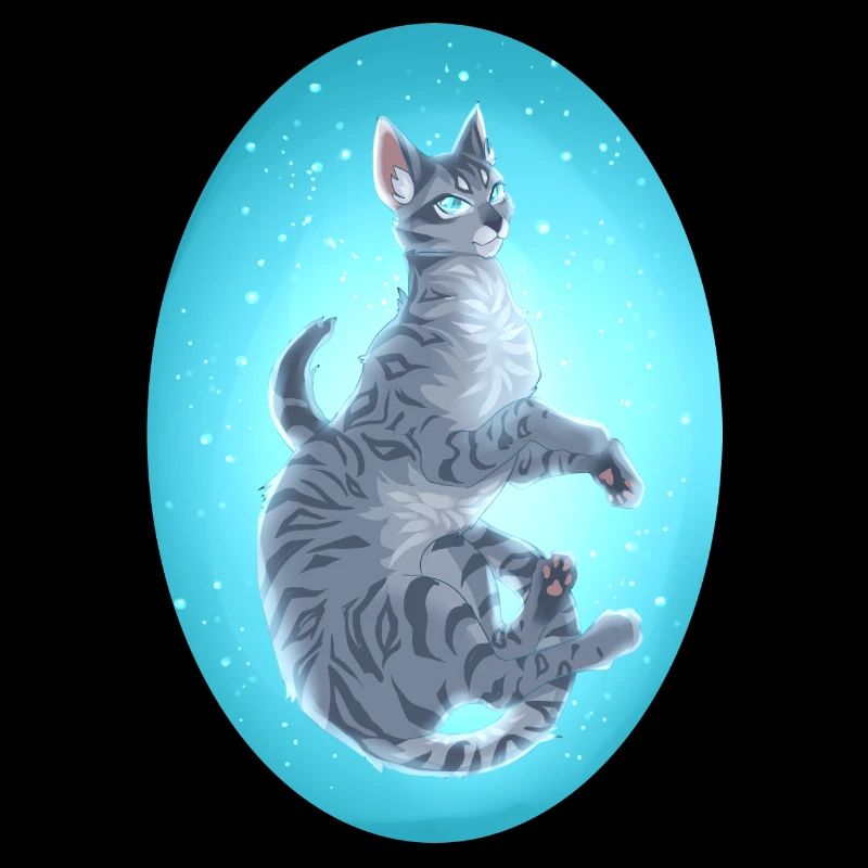Jayfeather Häherfeder Graue Katze Warrior Cats