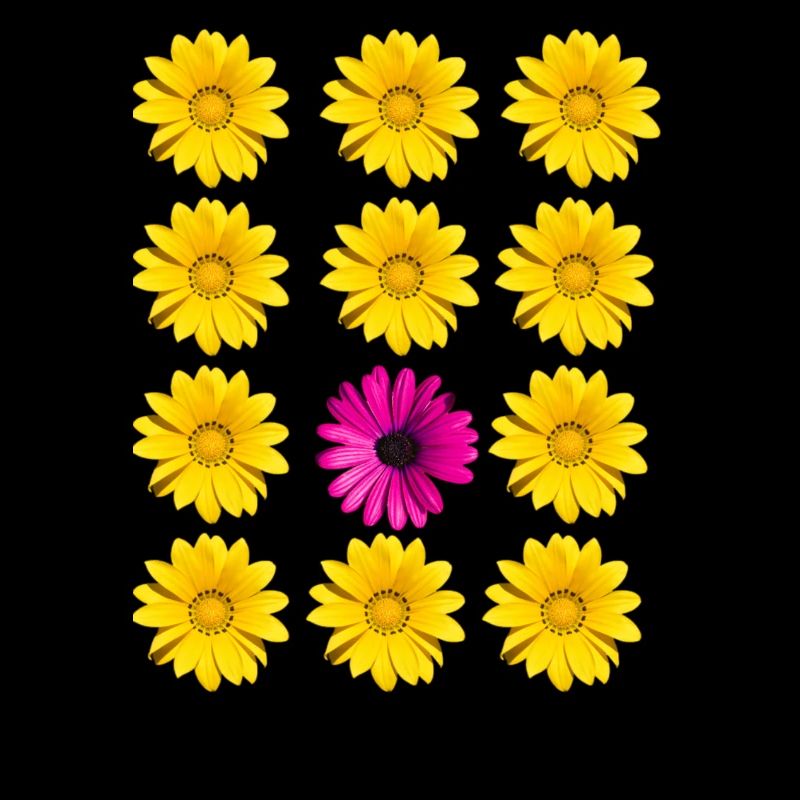 Blüten Blumen Botanik