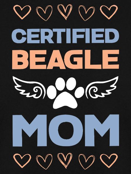 Beagle-Mama Zertifiziert