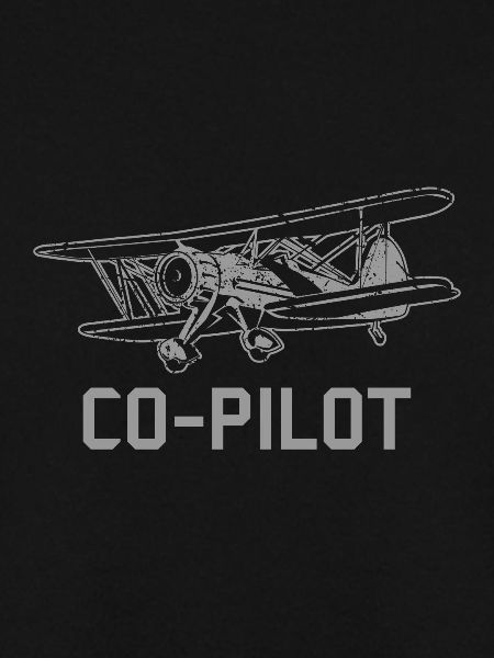 Co-pilot pilot flying