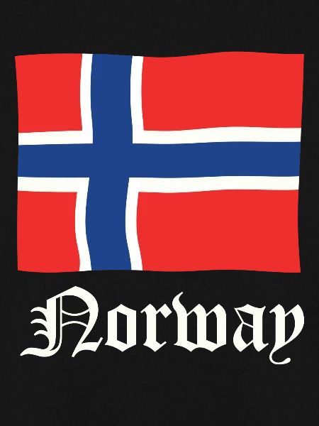 Norwegen Wikinger Flagge