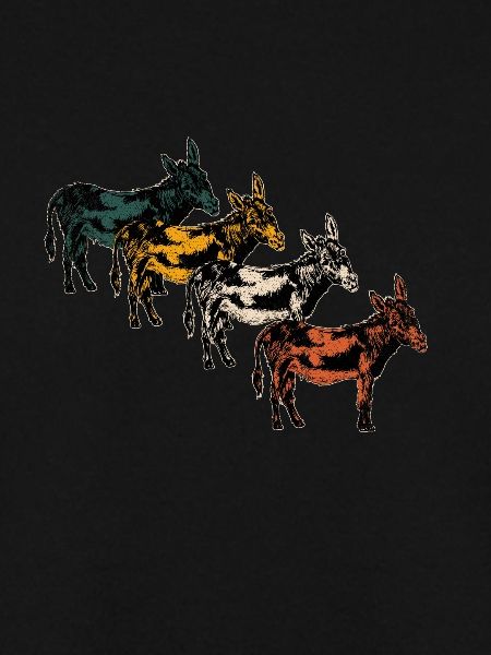 Esel Tiere