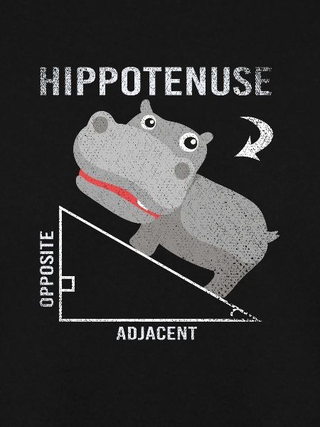 Hippopotamus Mathematiker