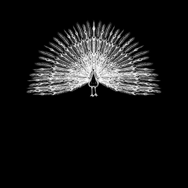 Pfau Tierliebhaber Ornithologe