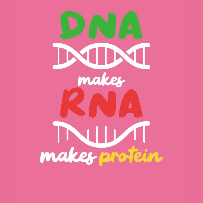 Aus DNA wird RNA wird Protein