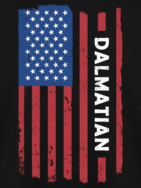 Dalmatian Us Flag