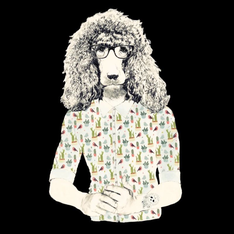 Hipster Pudel