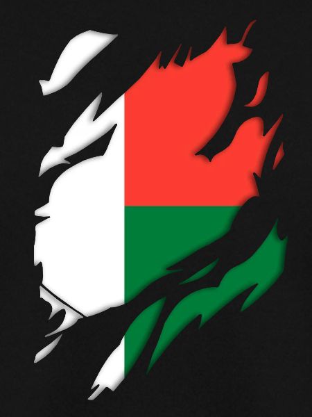 Madagaskar Flagge zerrissenes Motiv