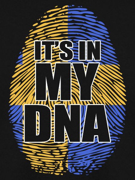 Schweden Schwedisch