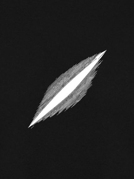 Cosmic scar