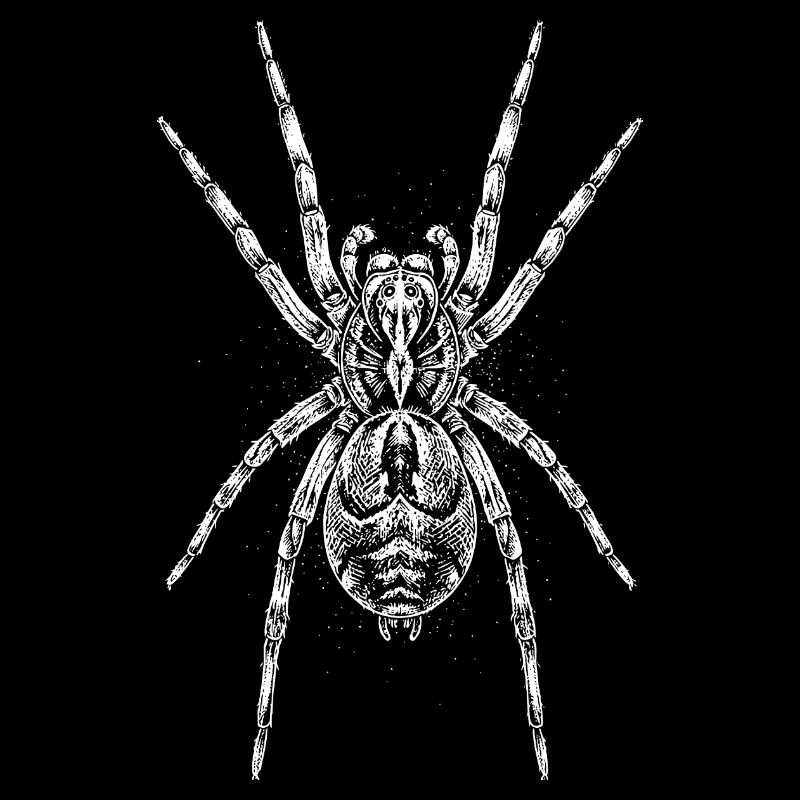 Midnight Spider Mandala