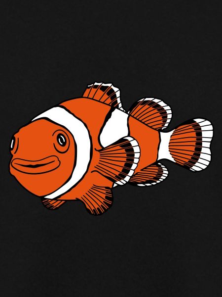 Clownfisch