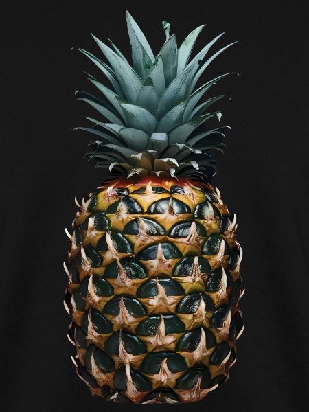 Ananas Frucht Geschenk