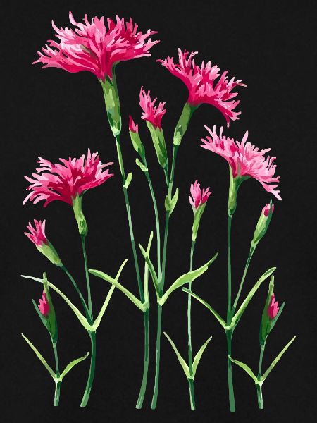 fleurs