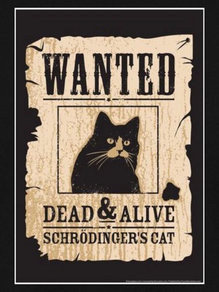 Schrodinger's Cat