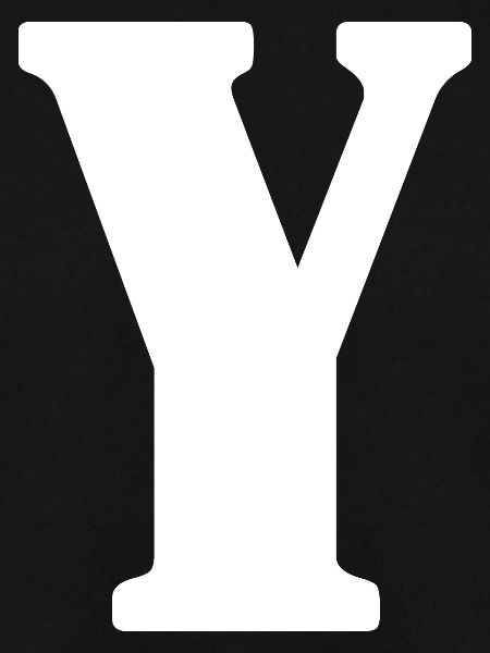 Y
