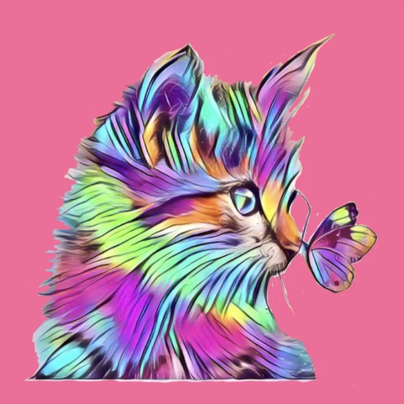 Regenbogen Schmetterling