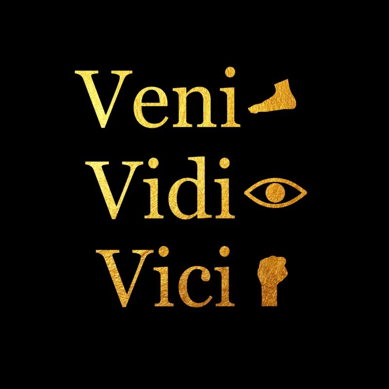 Veni Vidi Vici
