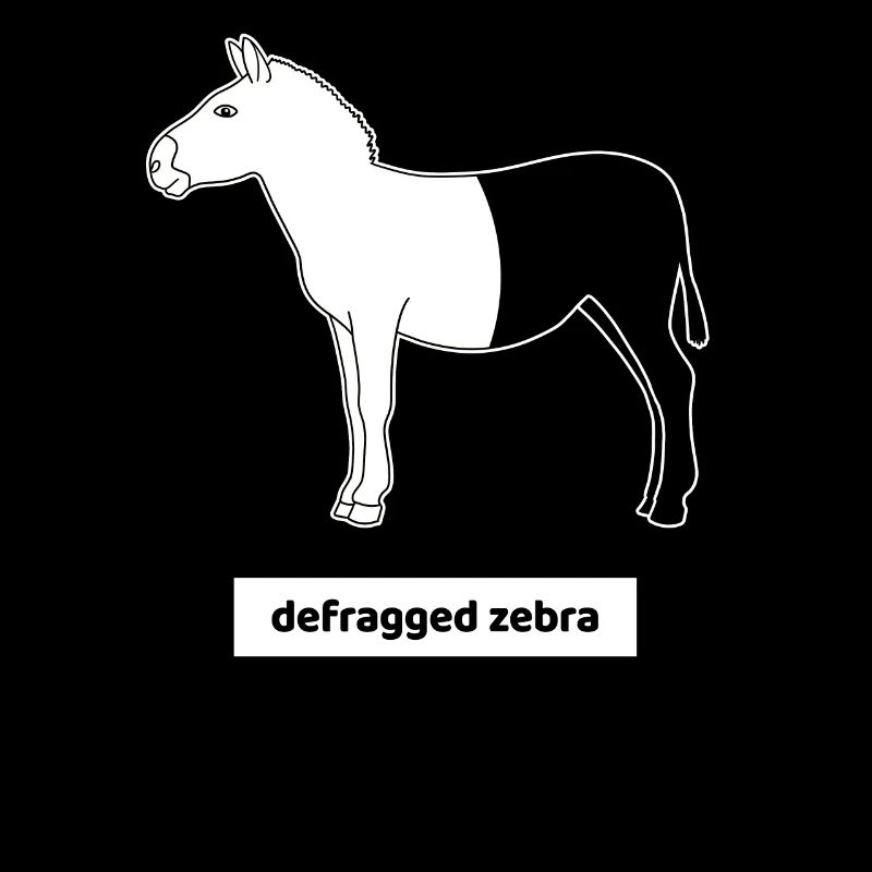 Computer Scientist Computer Calculator Humor Zebra Defrag