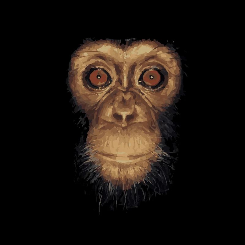 affe Tier
