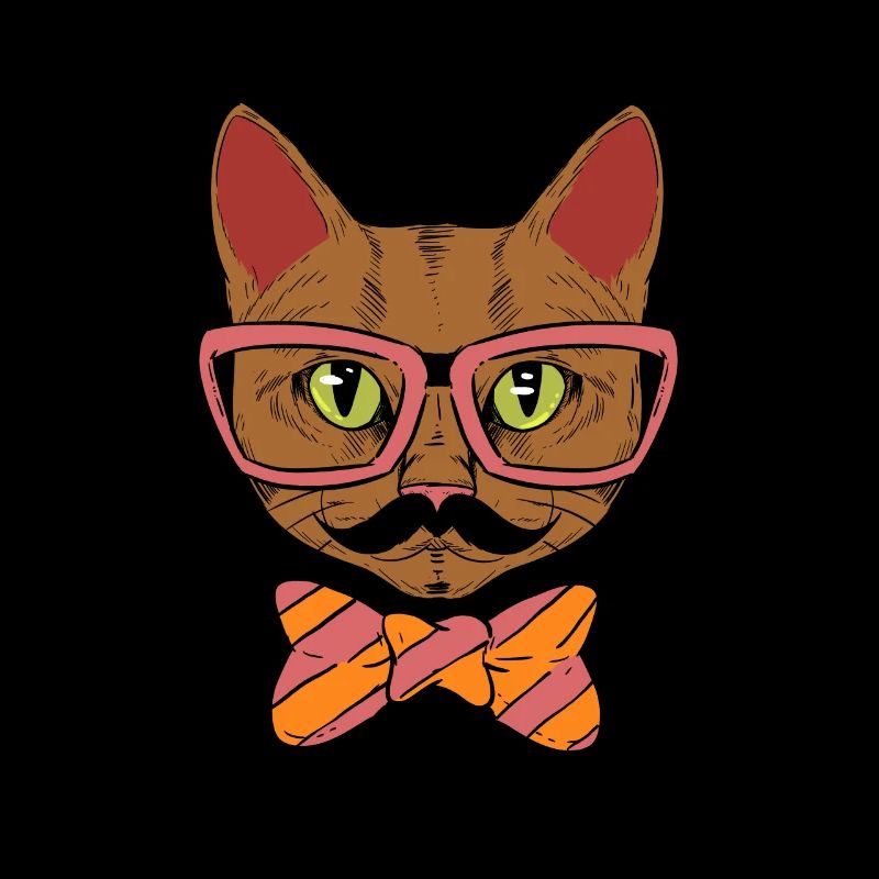 Cool funny nerdy hipster Maine Coon cat present