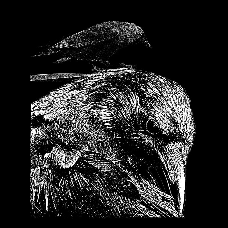 Corbeau