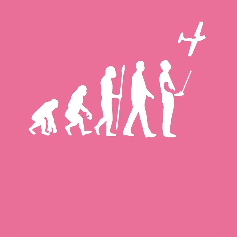 Model Flight Evolution
