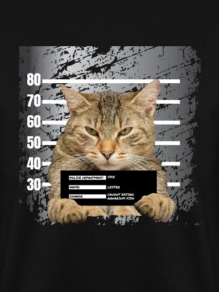 chat