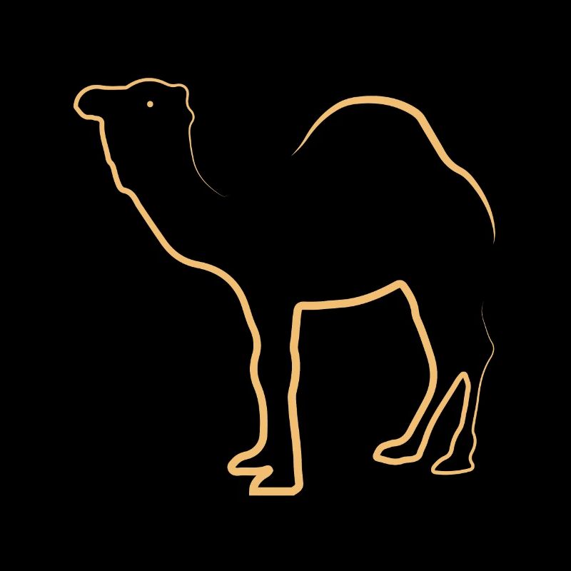 Kamel Camel Dromedar