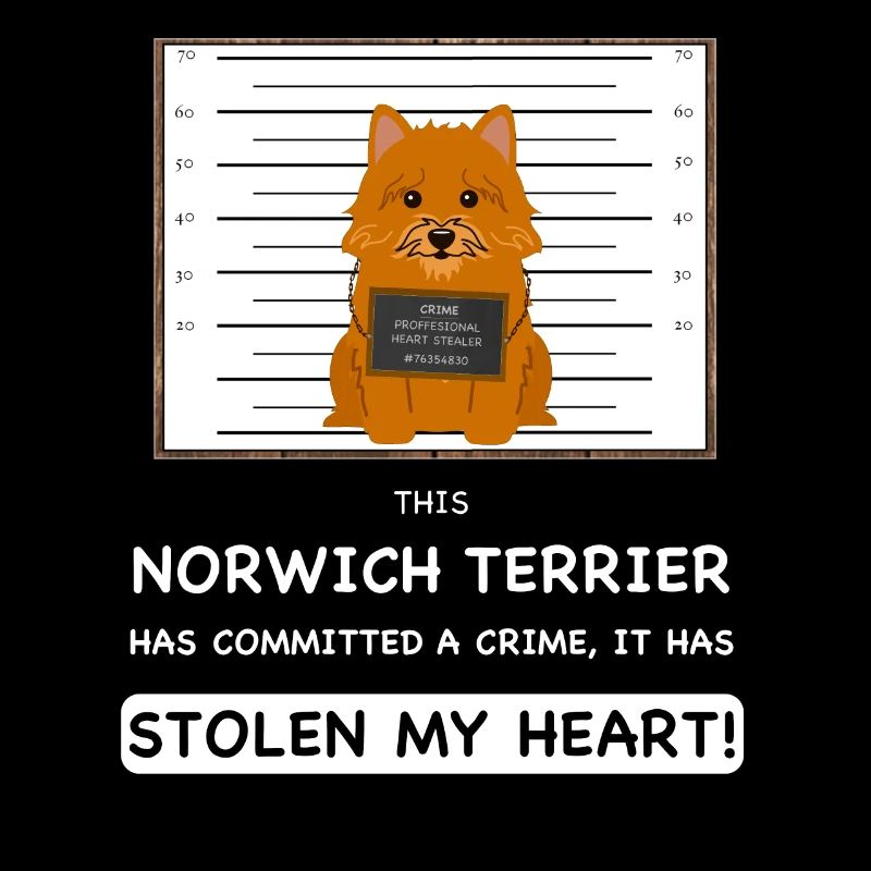 Norwich Terrier Mugshot