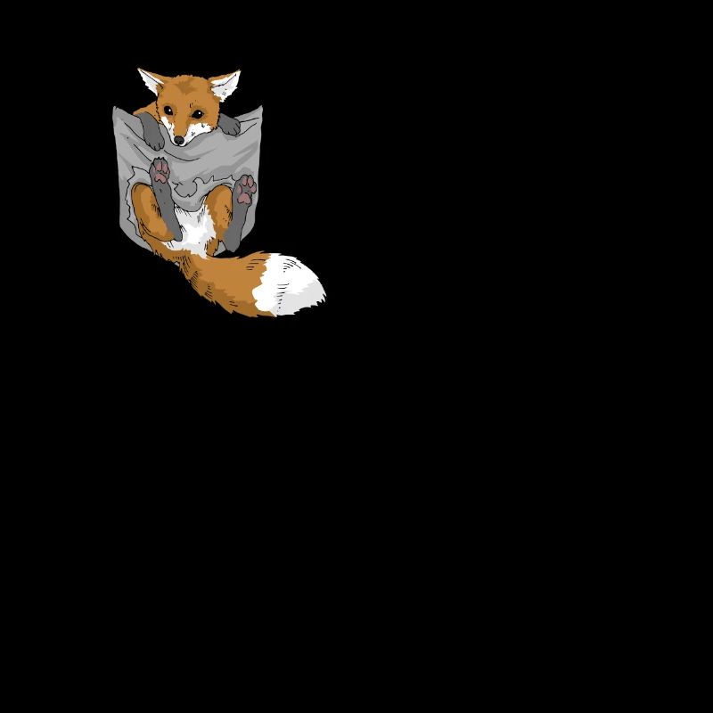 Fox Fennek Red Fox Fox in bag gift