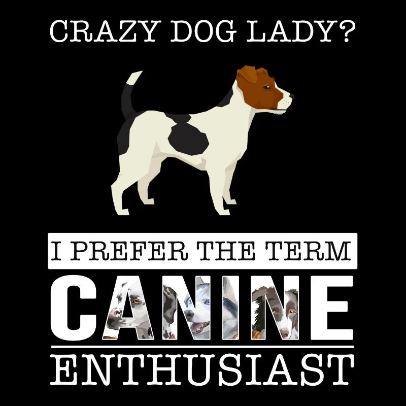Crazy Jack Russell Terrier Chien Dame Je Préfère Le