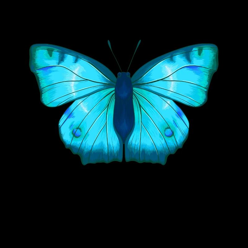 Schmetterling Blau