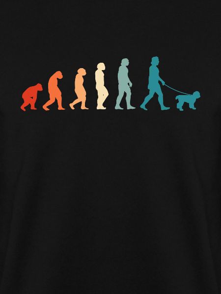 Labradoodle Evolution Australia Goldendoodle