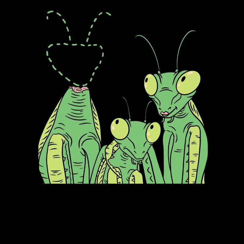 Praying mantis Mantis Mantis
