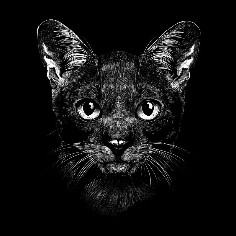 Propriétaire de chat chat