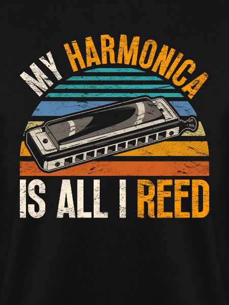 Harmonica harmonica player