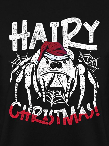 Vogelspinne Hairy Christmas