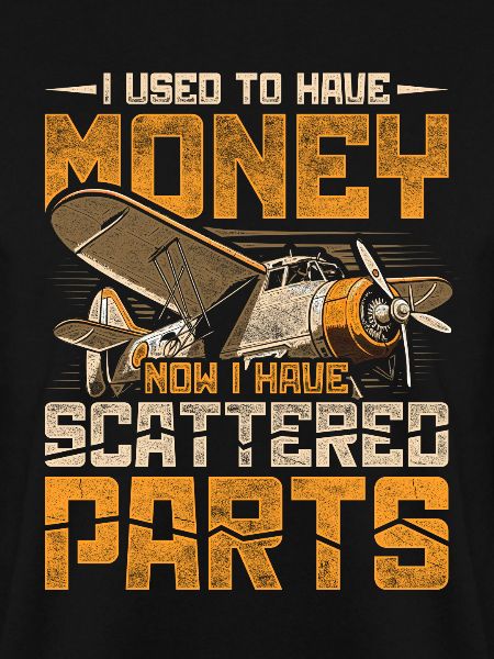 Modellflugzeug Modellflieger